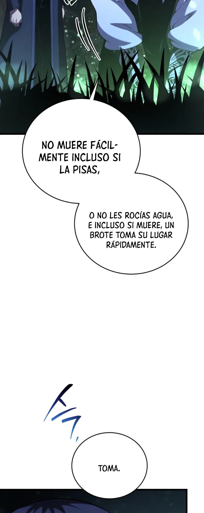 El hijo menor del maestro de la espada Capítulo 110 - Página 12